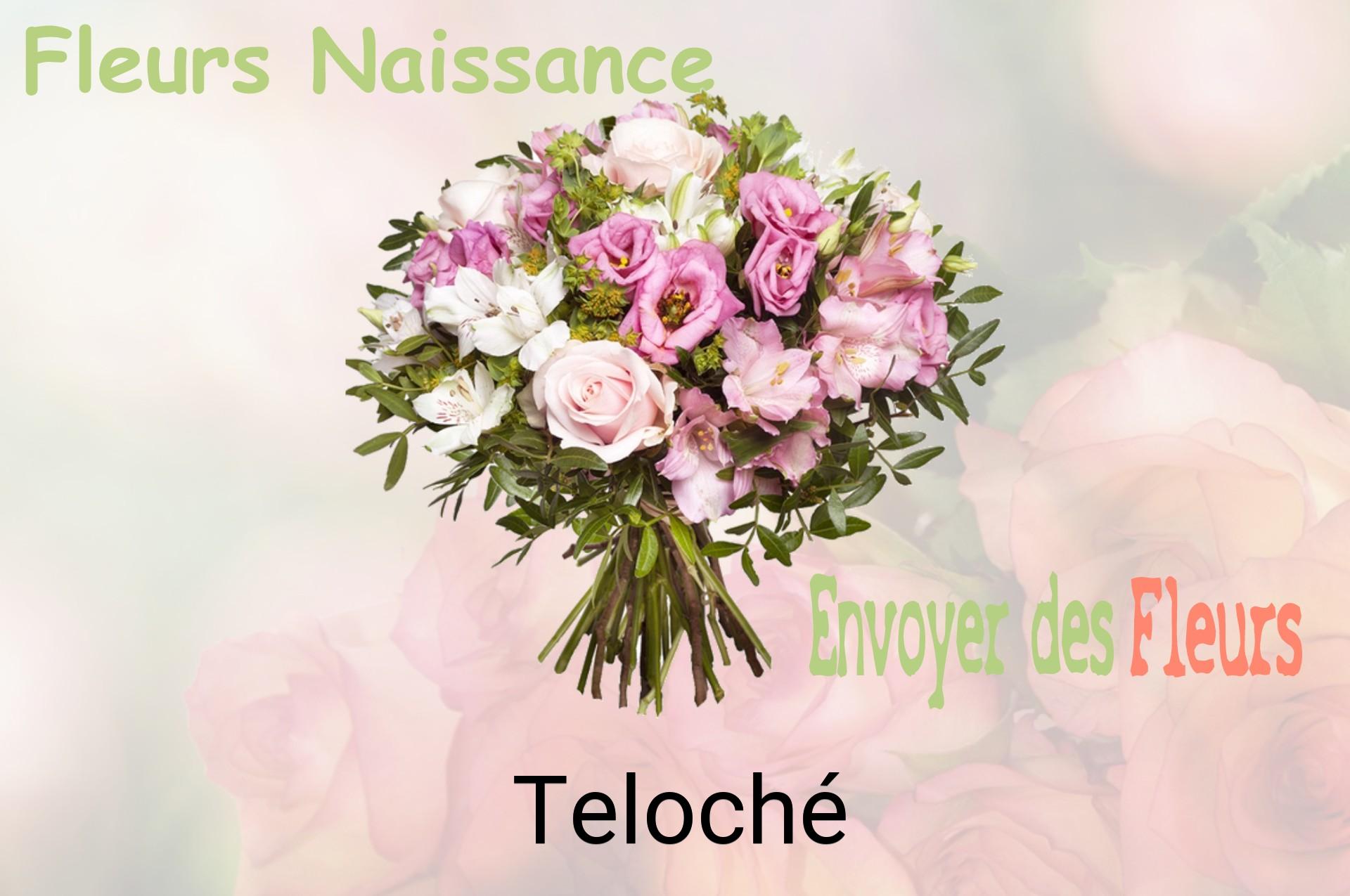 Bouquet de fleurs de naissance livré à Teloché